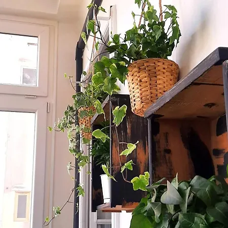 Appartement Saint Jack Luxury *