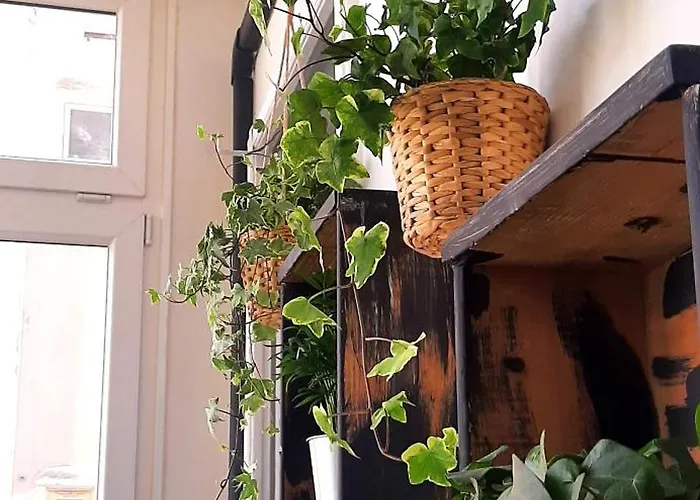 Daire Saint Jack Luxury *